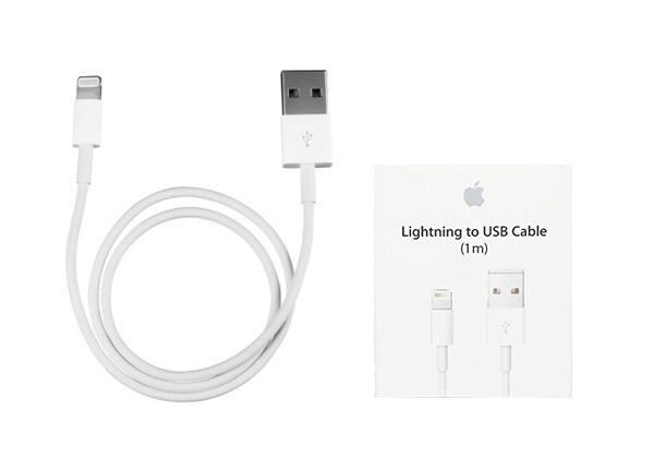 Apple iPhone Charger
